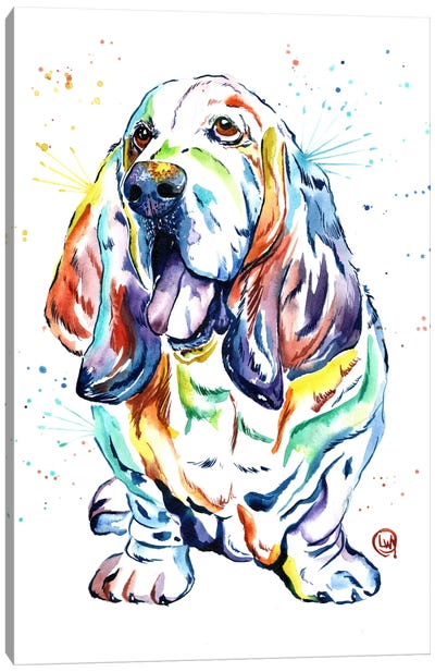 Basset Hound Baily Canvas Art Print - Basset Hound Art