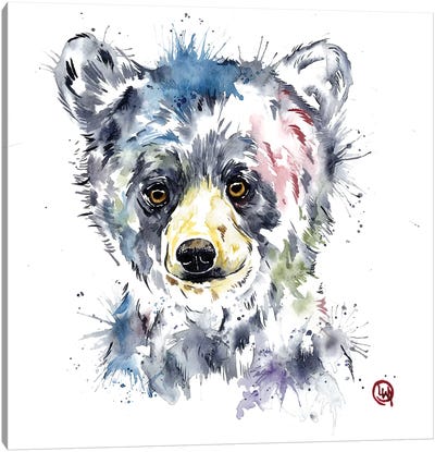 Baby Black Bear Canvas Art Print - Lisa Whitehouse