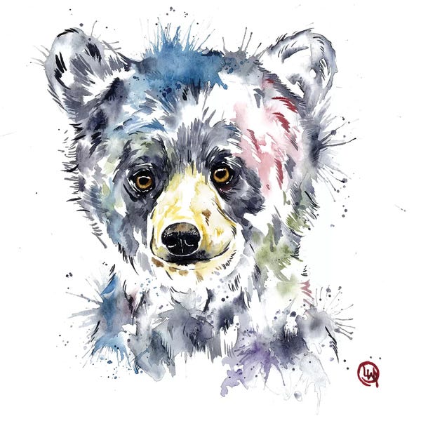 Black Bears: Baby Black Bear by Lisa Whitehouse