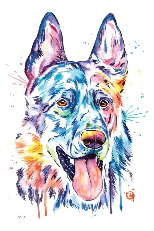 Black German Shepherd