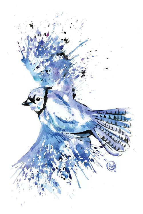 Bluetiful - Blue Jay