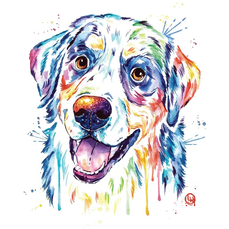Burnese Mountain Dog