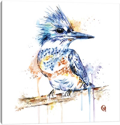 Kingfisher Canvas Art Print - Lisa Whitehouse