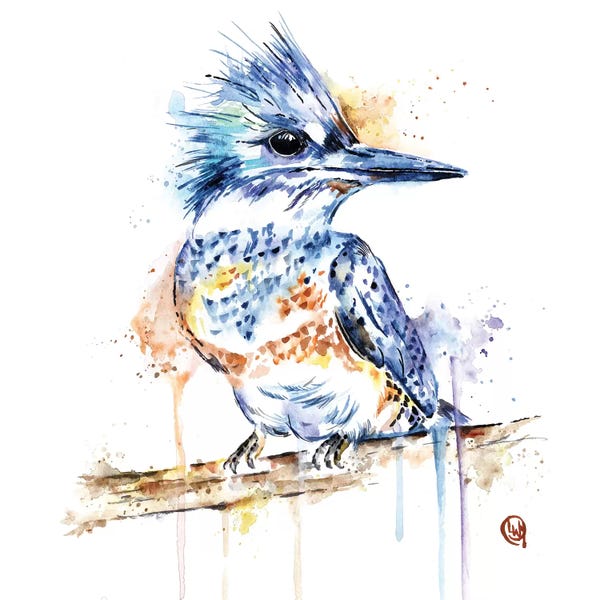 Kingfishers: Kingfisher by Lisa Whitehouse