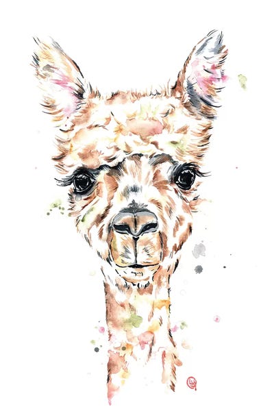 Llama Llama by Lisa Whitehouse canvas print