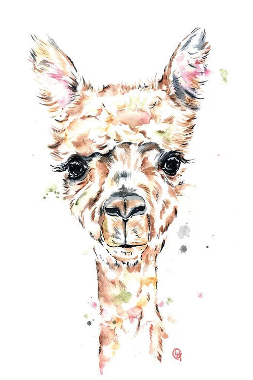 Llama Llama
