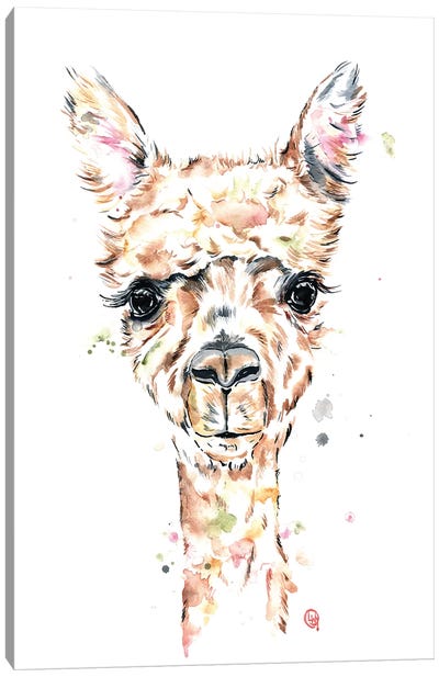 Llama Llama Canvas Art Print - Llama & Alpaca Art