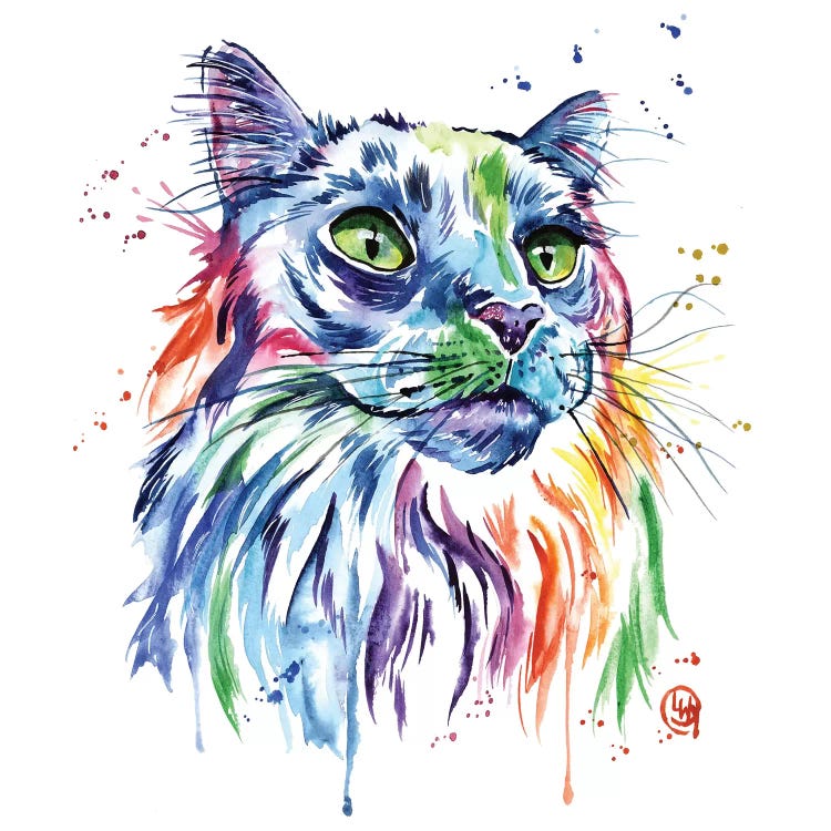 Maine Coon Cat
