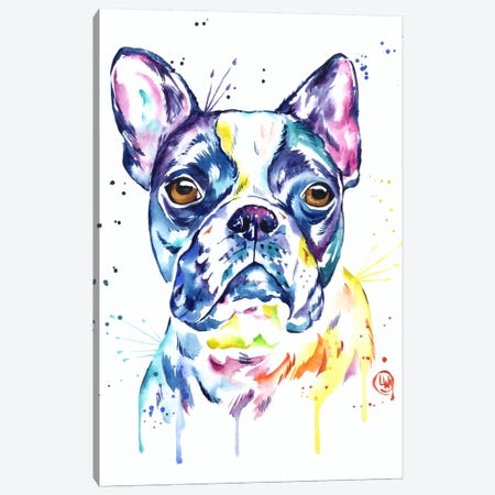 Boston Terrier Canvas Print #LWH7} by Lisa Whitehouse Canvas Print