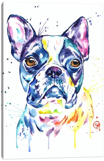 Boston Terrier Canvas Art Print - Lisa Whitehouse