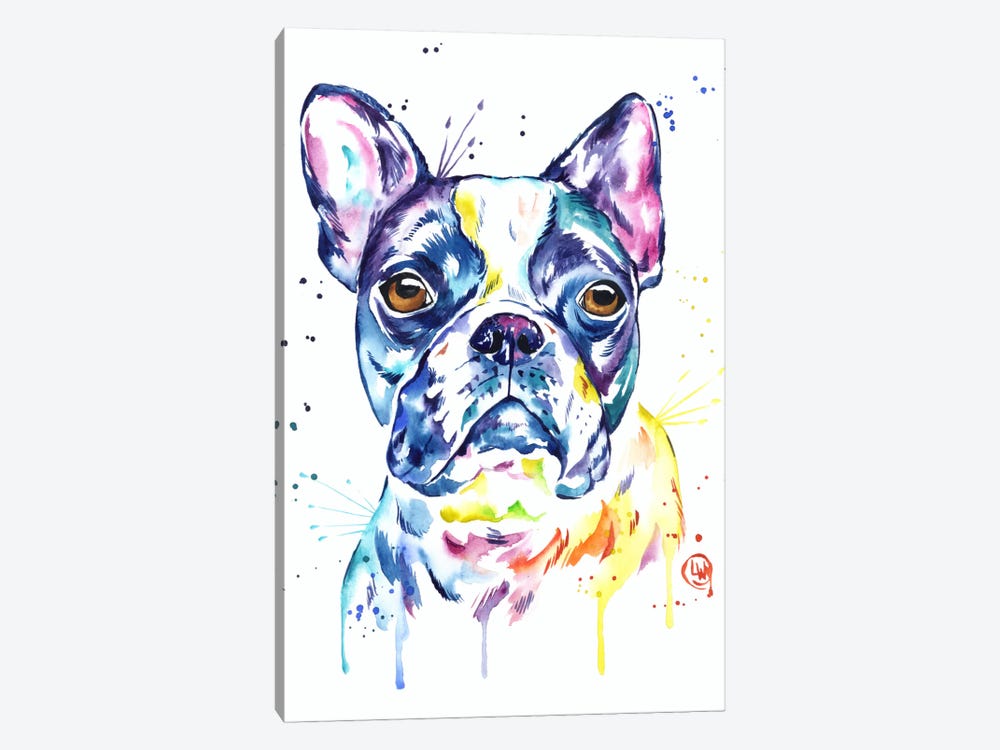 Boston Terrier by Lisa Whitehouse 1-piece Canvas Print