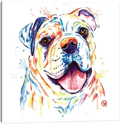 Shelby Rue The Bulldog Canvas Art Print - Lisa Whitehouse