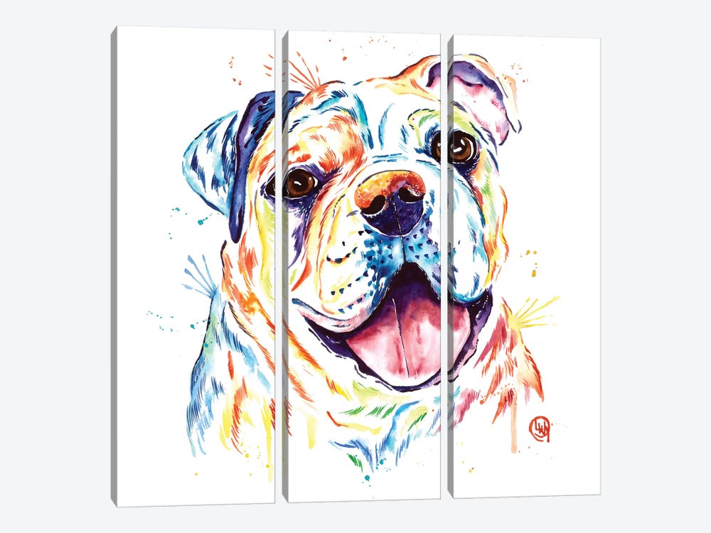 Shelby Rue The Bulldog by Lisa Whitehouse 3-piece Art Print
