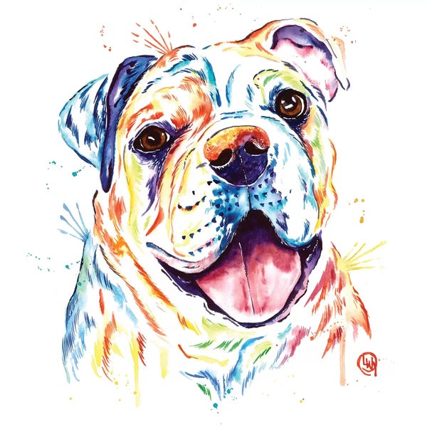 Bulldogs: Shelby Rue The Bulldog by Lisa Whitehouse