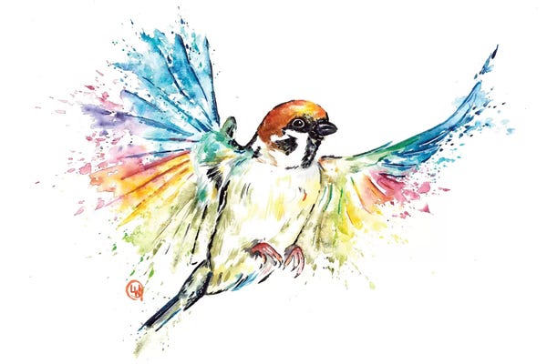 Sparrows: Sparrow by Lisa Whitehouse