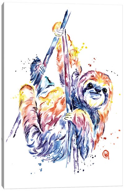 The Lazy Sloth Canvas Art Print - Lisa Whitehouse