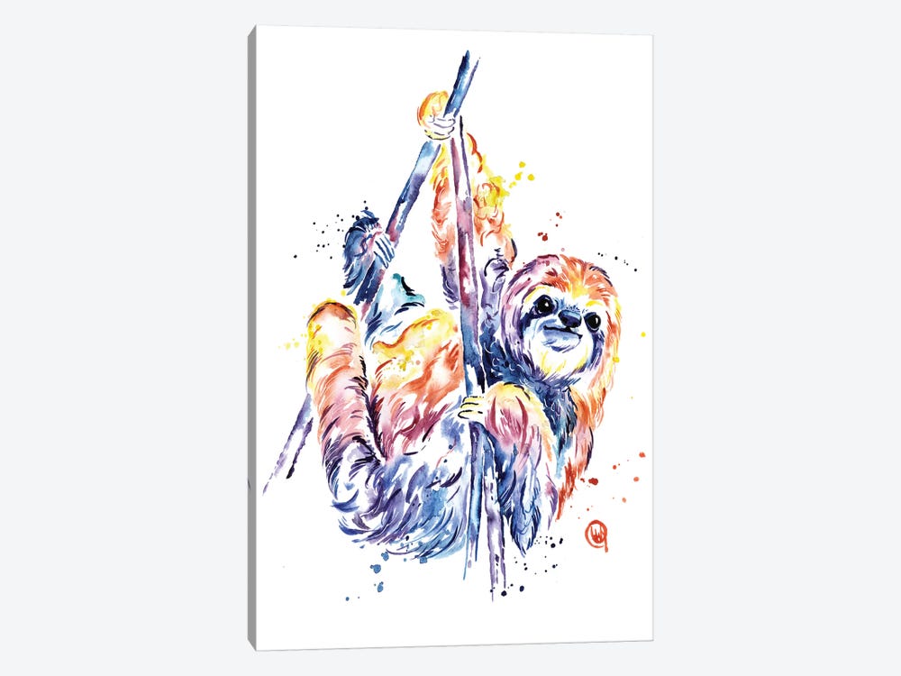 The Lazy Sloth by Lisa Whitehouse 1-piece Canvas Print