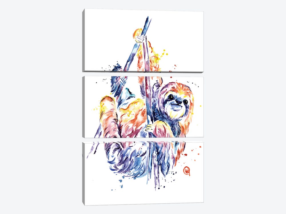 The Lazy Sloth by Lisa Whitehouse 3-piece Canvas Print