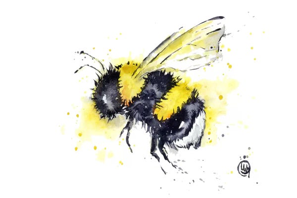 Bees: Buzz by Lisa Whitehouse