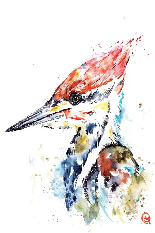 Woodpecker by Lisa Whitehouse wall art
