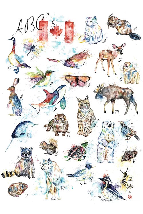 Canadian ABC's by Lisa Whitehouse wall art