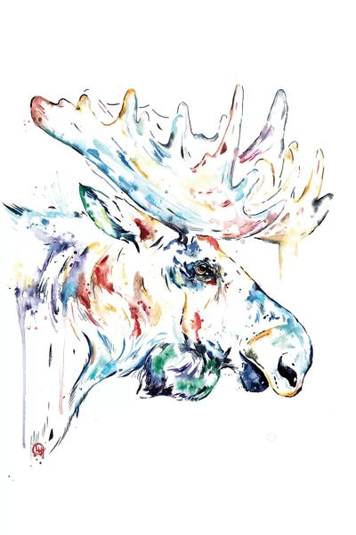 Moose