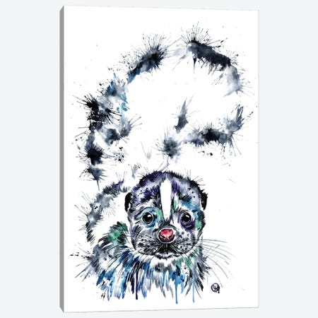Skunk Baby Canvas Print #LWH95} by Lisa Whitehouse Canvas Artwork
