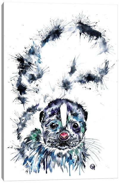 Skunk Baby Canvas Art Print - Lisa Whitehouse