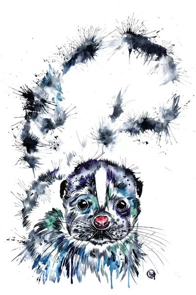 Skunks: Skunk Baby by Lisa Whitehouse