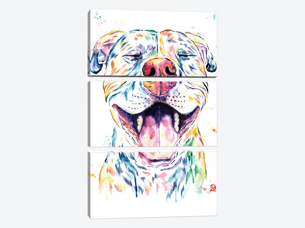 Tango The Pit Bull by Lisa Whitehouse 3-piece Canvas Wall Art