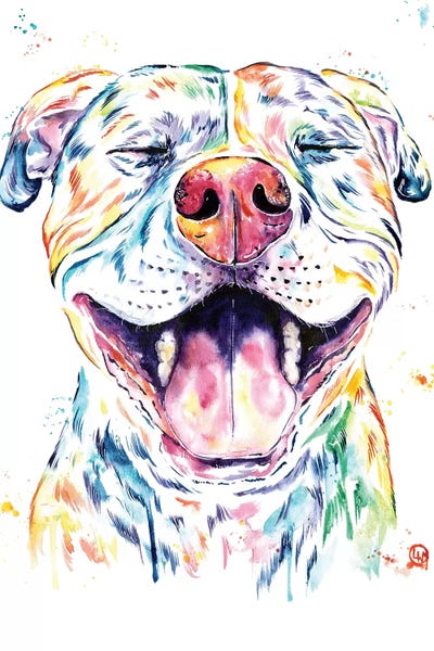 Lisa Whitehouse: Tango The Pit Bull by Lisa Whitehouse