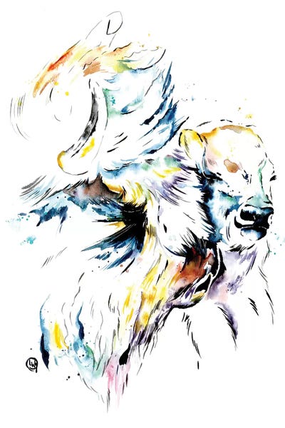 Bison & Buffaloes: Bison by Lisa Whitehouse