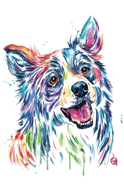 Border Collie by Lisa Whitehouse framed wall art