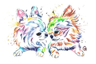 Pomeranians