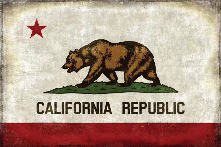 The California Republic by Luke Wilson wall art