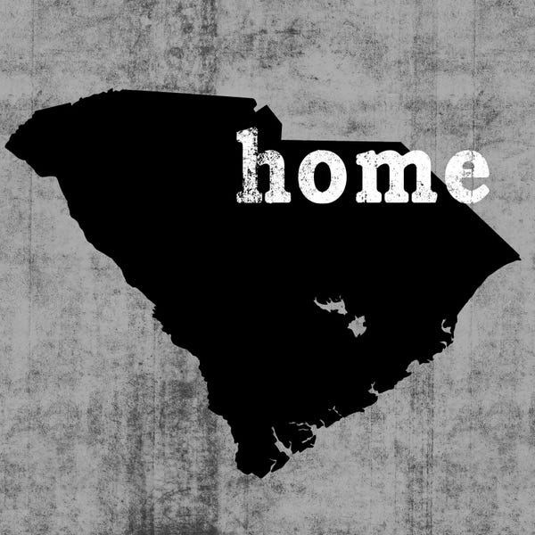 Luke Wilson: South Carolina  by Luke Wilson