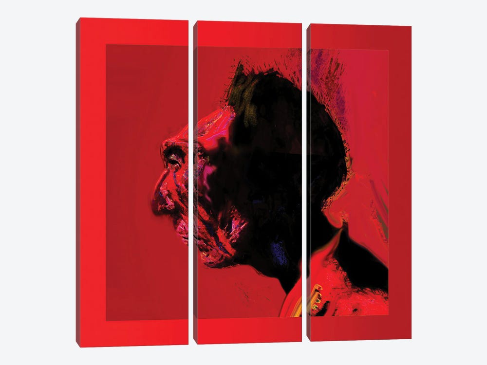 Red Clan Elder by Lawrence Lee 3-piece Canvas Art