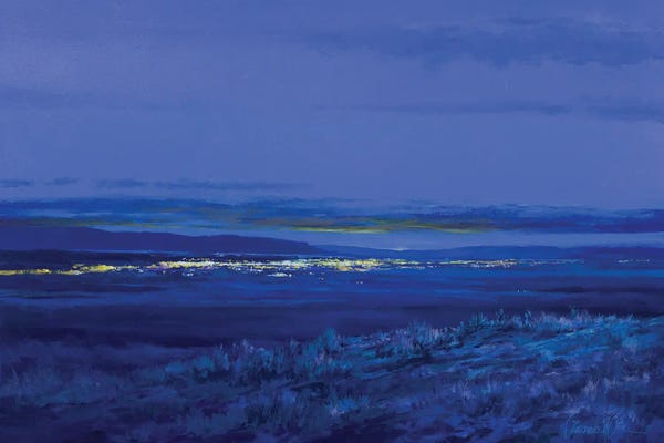 Indigo: Home After Twilight by Lawrence Lee