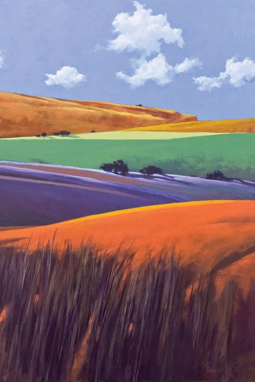 South Of Big Candy Mountain by Lawrence Lee wall art