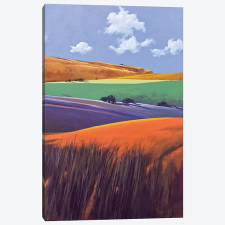 South Of Big Candy Mountain Canvas Print #LWL63} by Lawrence Lee Canvas Wall Art