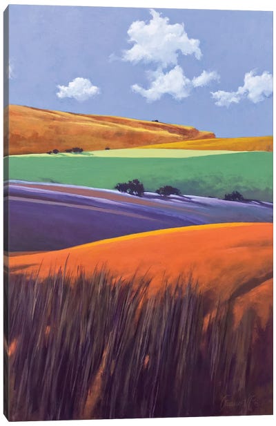 South Of Big Candy Mountain Canvas Art Print - Color Fields