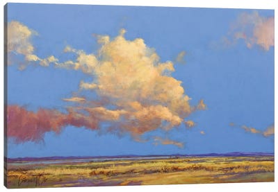 One June Afternoon Canvas Art Print - Lawrence Lee