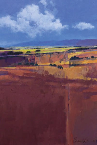 Color Fields: Sonora Afternoon by Lawrence Lee