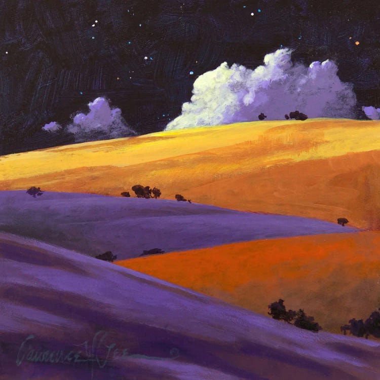 Darksky Morning by Lawrence Lee wall art