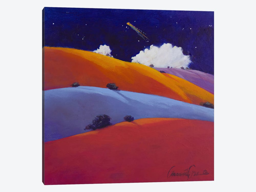 Visiting Star by Lawrence Lee 1-piece Canvas Artwork