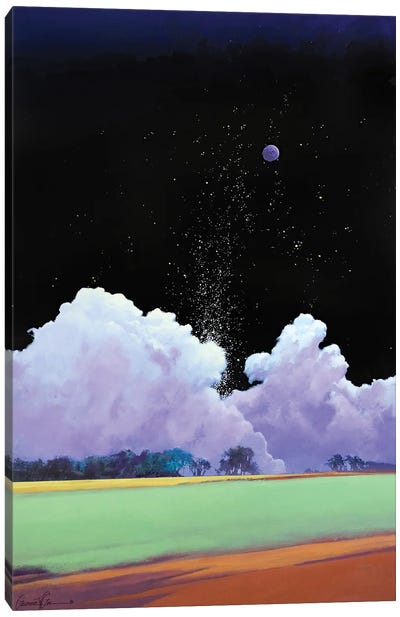 Starfall Canvas Art Print - Lawrence Lee