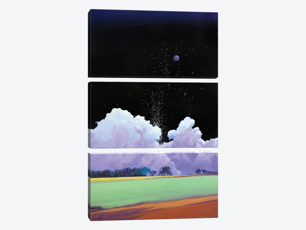 Starfall by Lawrence Lee 3-piece Canvas Artwork