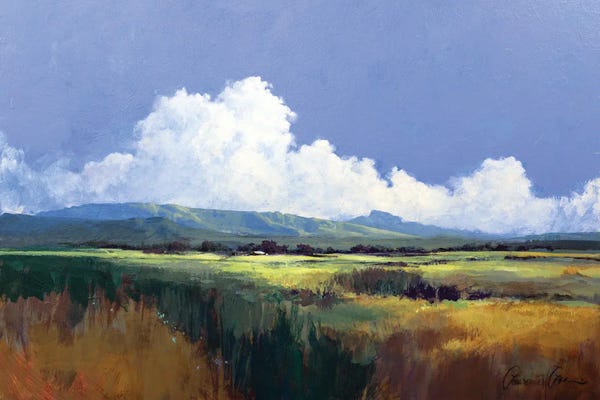 Lawrence Lee: Arroyo Torcido by Lawrence Lee