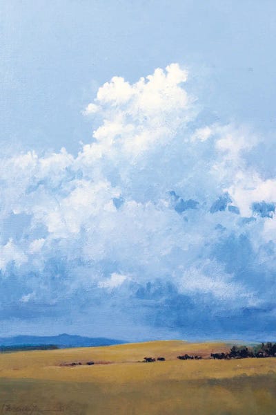 Clouds: New Pasture by Lawrence Lee