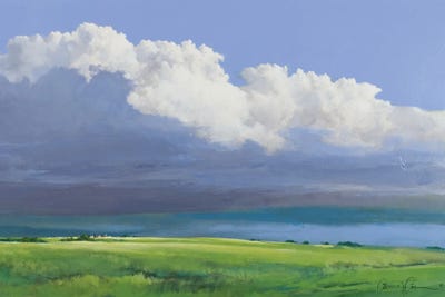 Hard Rain Coming by Lawrence Lee canvas print